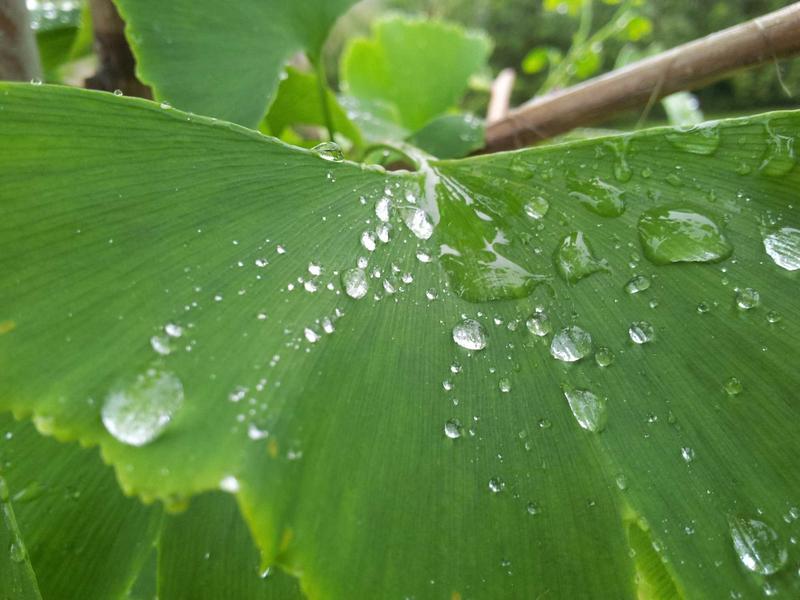 围炉煮茶<br>qyf5seag.cn 中式松弛感